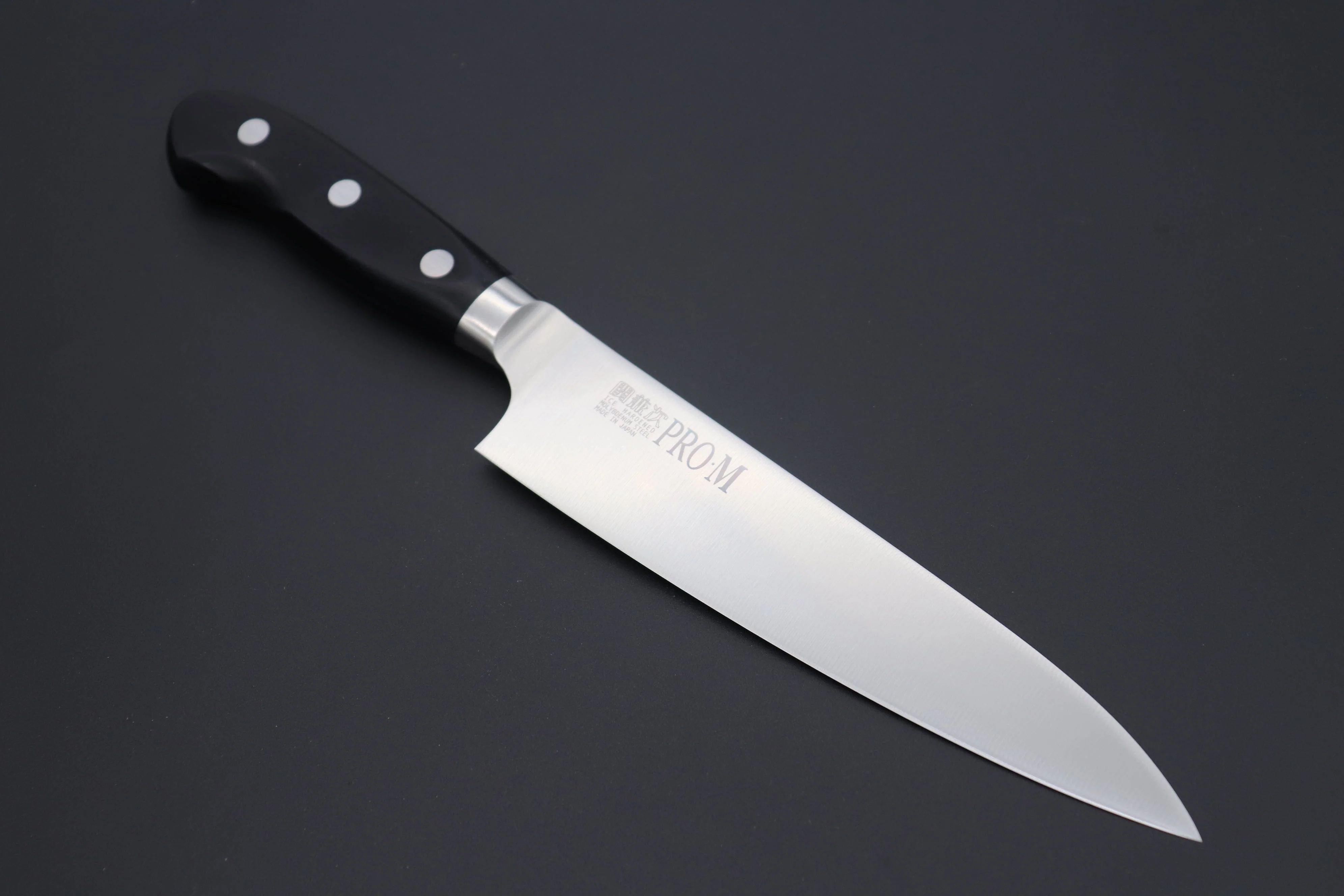 Seki Kanetsugu Seki Kanetsugu Pro-M Gyuto 210mm