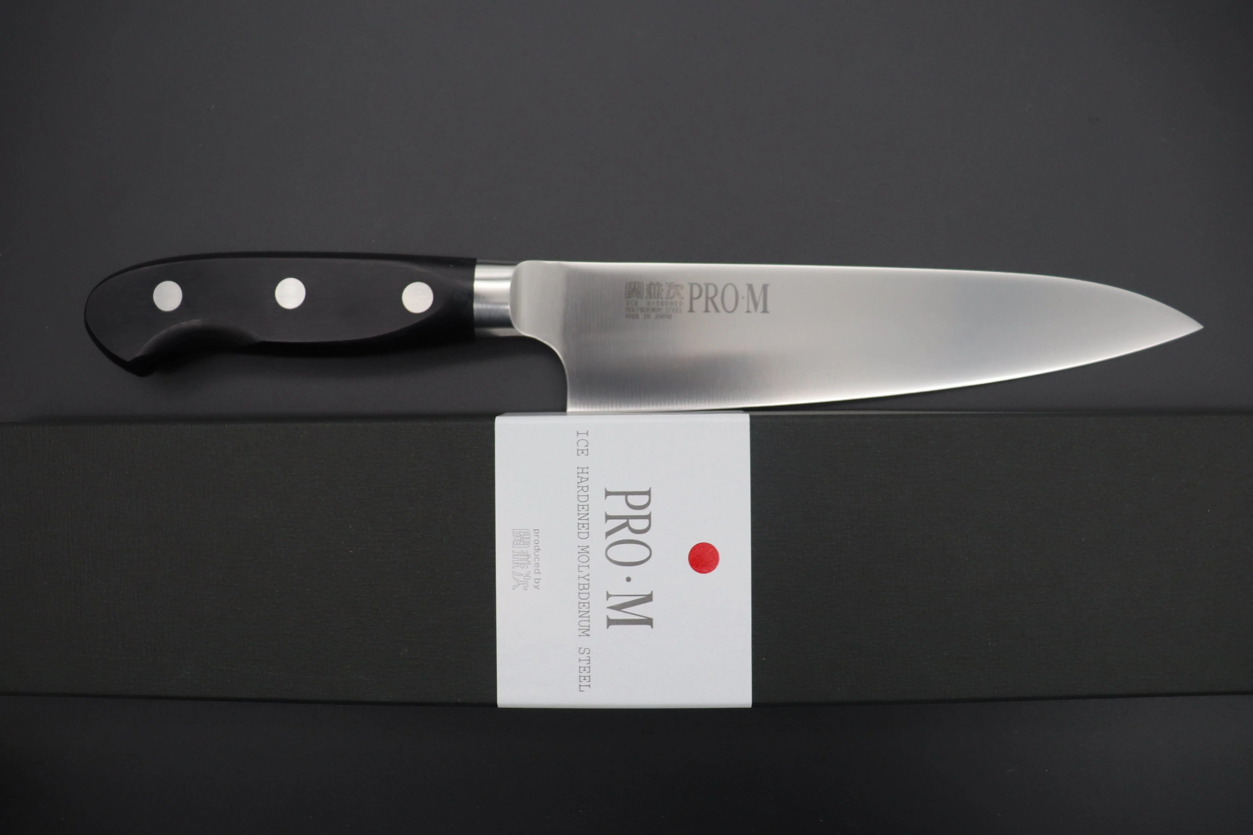 Seki Kanetsugu Seki Kanetsugu Pro-M Gyuto 210mm