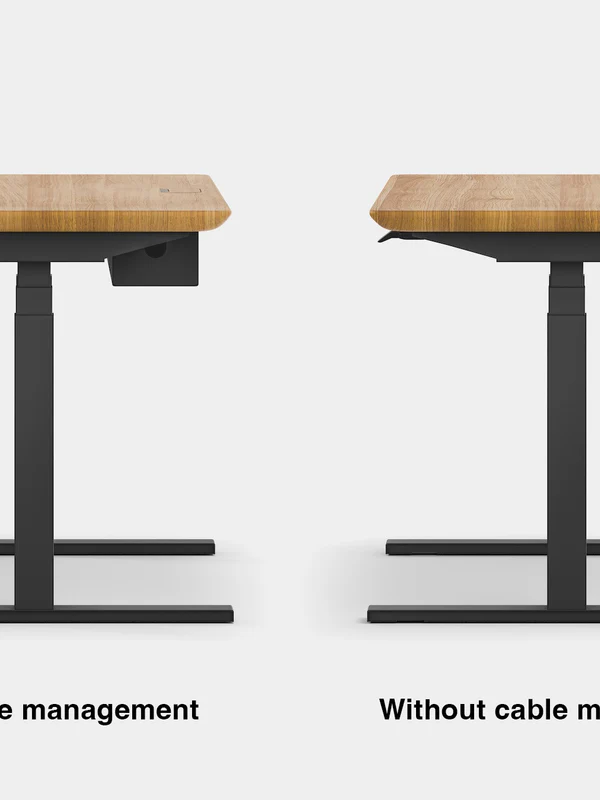 Oakywood Oakywood Standing Desk Pro