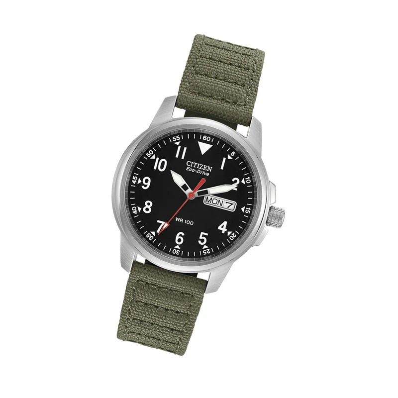 Citizen Chandler Eco-Drive