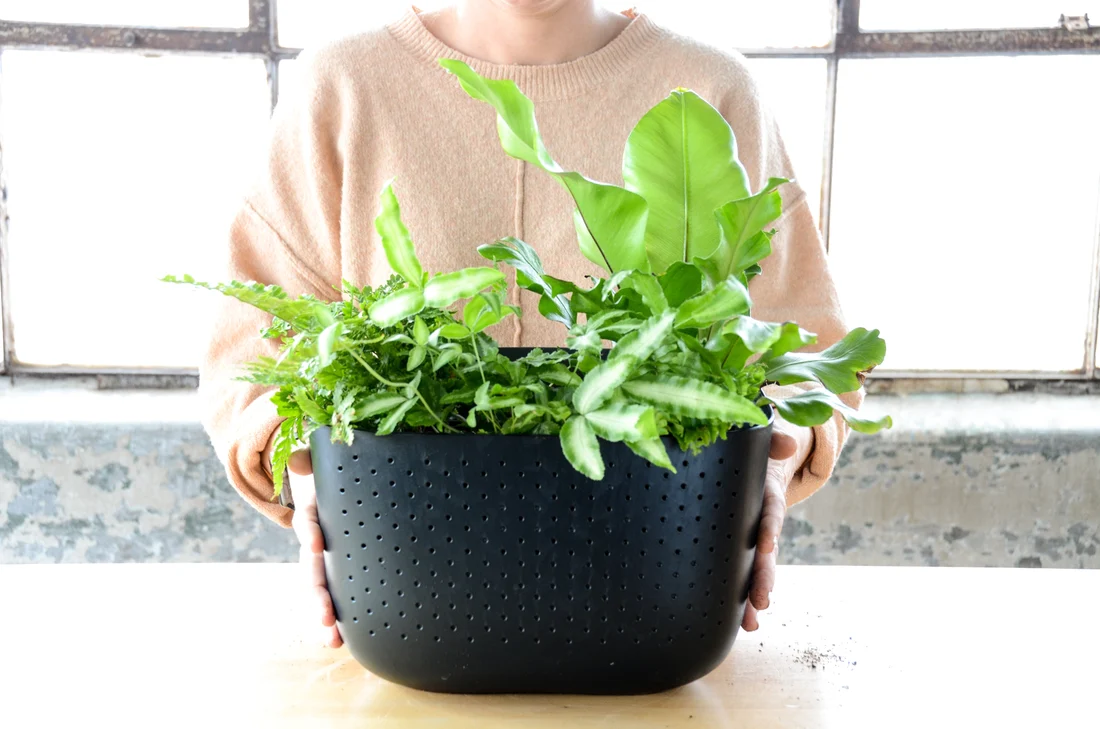 WallyGrow Eco Wall Planter