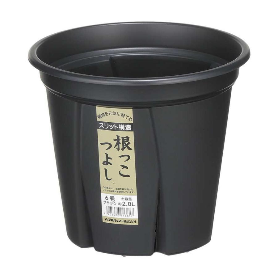 アップルウェアー 根っこつよし スリット鉢 6号 ブラック