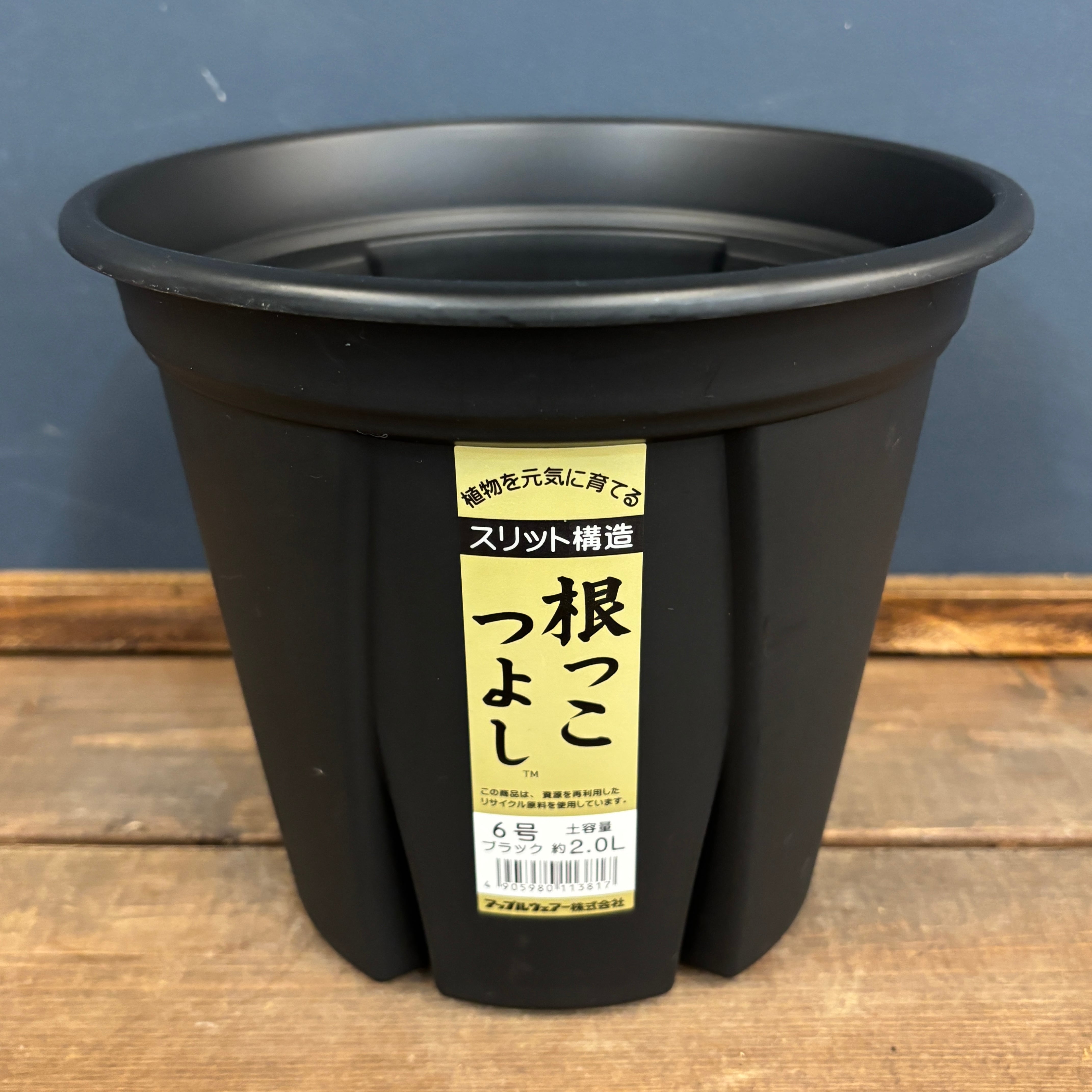 アップルウェアー 根っこつよし スリット鉢 6号 ブラック